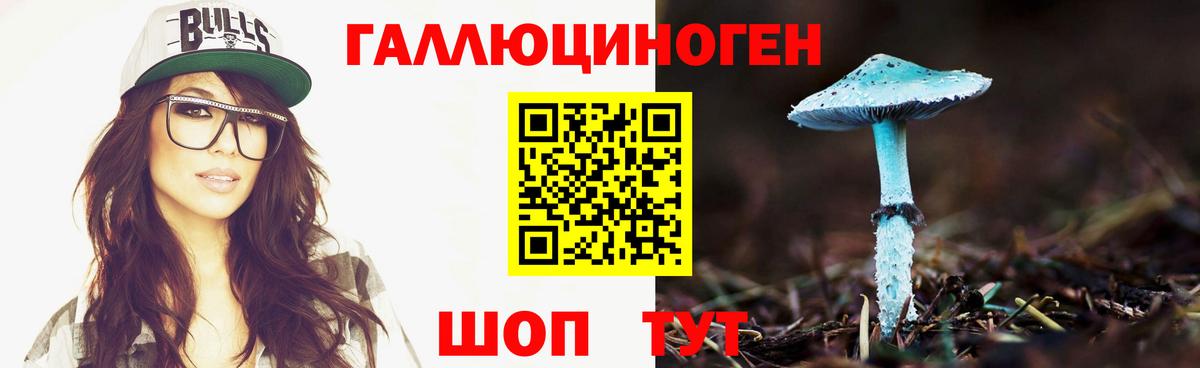 Долгопрудный  Галлюциногенные грибы мицелий  сколько стоит  Вход с VPN 