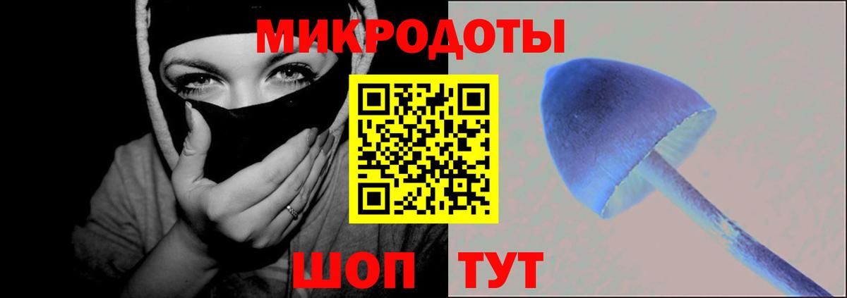 Псилоцибиновые грибы Psilocybe Долгопрудный